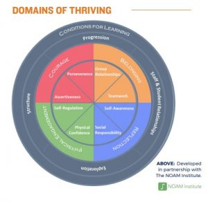 DomainsOfThriving